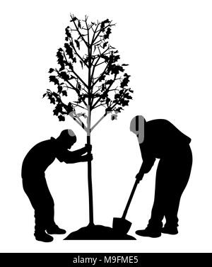 Zwei Männer einen Baum pflanzen Stock Vektor