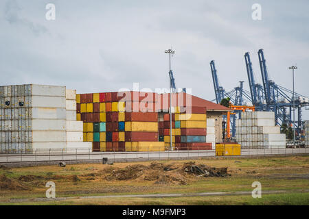Gestapelte Container und Kräne am Hafen - Fracht- Konzept - Stockfoto