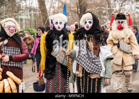 Die Menschen in den traditionellen Karneval Kostüme bei Kukeri Festival kukerlandia Pasardschik, Bulgarien. Teilnehmer aus Rumänien Stockfoto