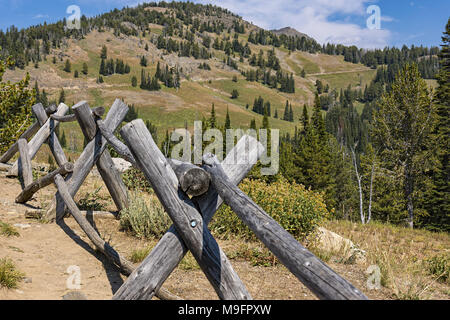 Einen alten Zaun anmelden Die alpine North East Yellowstone National Park, Wyoming, USA Stockfoto