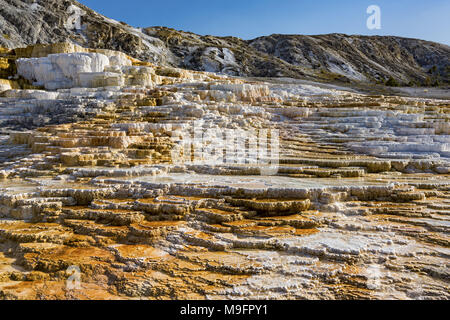 Bunte Formationen von Jupiter Terrasse an Mammoth Hot Springs Yellowstone National Park, Wyoming, USA Stockfoto