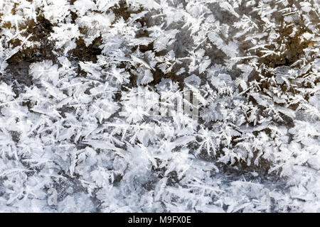 42,748.08667 in der Nähe von kleinen und zarten Feder-wie Eiskristalle eingebettet in River ice Stockfoto