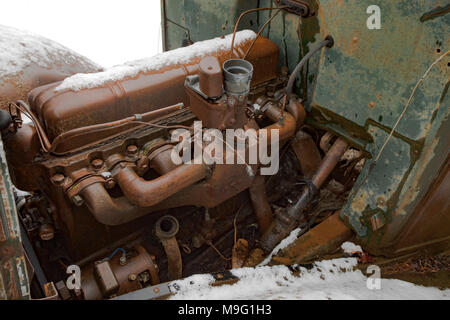 Ein Inline 6 Zylinder 181 - cubic-inch (3,0 Liter) Benzin Motor, wie von der Fahrerseite gesehen, in einem 1936 Chevy 1 1/2 Tonner. Stockfoto