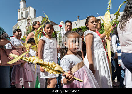 San Miguel de Allende, Mexiko. 25 Mär, 2018. Junge Gläubige tragen palm Kreuze während einer Palmsonntag Prozession durch die Straßen zu Beginn der Karwoche, 25. März 2018 in San Miguel de Allende, Mexiko gewebt. Die Christen, die Jesus in Jerusalem gedenken, wenn man glaubte, dass die Bürger die Palmzweige in den Weg gelegt. Credit: Planetpix/Alamy leben Nachrichten Stockfoto