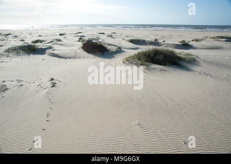 Matagorda, Texas, USA. 7 Mär, 2018. März 5, 2018. Der Strand und die Stege an der Matagorda Bay Nature Park gehören ein 1.333 Hektar großes Naturschutzgebiet, das ist eine erstklassige Lage für Fischer, Vogelbeobachter und Strandräuber mit seinen schönen grossen Strände und Dünen in der Nähe der Stadt Matagorda, Tx. Am östlichen Ende von Matagorda Bay, wo der Colorado River fließt in den Golf von Mexiko. Credit: Ralph Lauer/ZUMA Draht/Alamy leben Nachrichten Stockfoto