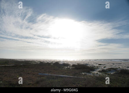 Matagorda, Texas, USA. 7 Mär, 2018. März 5, 2018. Der Strand und die Stege an der Matagorda Bay Nature Park gehören ein 1.333 Hektar großes Naturschutzgebiet, das ist eine erstklassige Lage für Fischer, Vogelbeobachter und Strandräuber mit seinen schönen grossen Strände und Dünen in der Nähe der Stadt Matagorda, Tx. Am östlichen Ende von Matagorda Bay, wo der Colorado River fließt in den Golf von Mexiko. Credit: Ralph Lauer/ZUMA Draht/Alamy leben Nachrichten Stockfoto