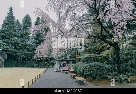 Tokyo, Tokio, China. 26 Mär, 2018. Tokio, Japan-The Kyu-Furukawa Garten, im 19. Jahrhundert für einen reichen Konglomerat Eigentümer erbaut, ist ein Garten mit japanischen und westlichen Architekturstilen in Tokio, Japan. Der westliche Teil der Garten wurde von dem britischen Architekten Josiah Conder konzipiert. Credit: SIPA Asien/ZUMA Draht/Alamy leben Nachrichten Stockfoto