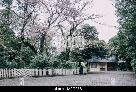 Tokyo, Tokio, China. 26 Mär, 2018. Tokio, Japan-The Kyu-Furukawa Garten, im 19. Jahrhundert für einen reichen Konglomerat Eigentümer erbaut, ist ein Garten mit japanischen und westlichen Architekturstilen in Tokio, Japan. Der westliche Teil der Garten wurde von dem britischen Architekten Josiah Conder konzipiert. Credit: SIPA Asien/ZUMA Draht/Alamy leben Nachrichten Stockfoto