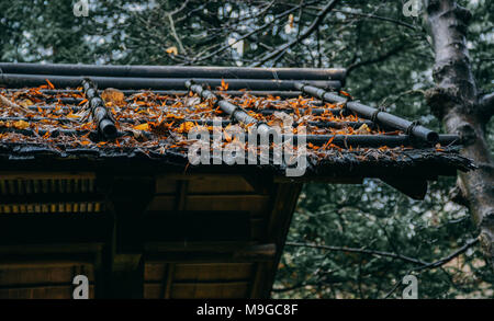 Tokyo, Tokio, China. 26 Mär, 2018. Tokio, Japan-The Kyu-Furukawa Garten, im 19. Jahrhundert für einen reichen Konglomerat Eigentümer erbaut, ist ein Garten mit japanischen und westlichen Architekturstilen in Tokio, Japan. Der westliche Teil der Garten wurde von dem britischen Architekten Josiah Conder konzipiert. Credit: SIPA Asien/ZUMA Draht/Alamy leben Nachrichten Stockfoto