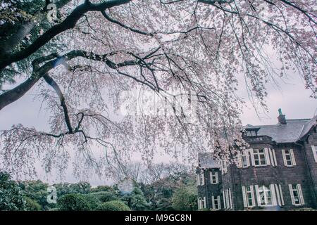 Tokyo, Tokio, China. 26 Mär, 2018. Tokio, Japan-The Kyu-Furukawa Garten, im 19. Jahrhundert für einen reichen Konglomerat Eigentümer erbaut, ist ein Garten mit japanischen und westlichen Architekturstilen in Tokio, Japan. Der westliche Teil der Garten wurde von dem britischen Architekten Josiah Conder konzipiert. Credit: SIPA Asien/ZUMA Draht/Alamy leben Nachrichten Stockfoto