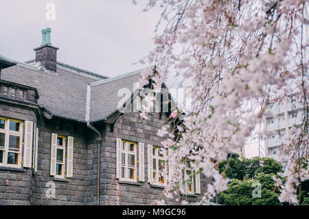 Tokyo, Tokio, China. 26 Mär, 2018. Tokio, Japan-The Kyu-Furukawa Garten, im 19. Jahrhundert für einen reichen Konglomerat Eigentümer erbaut, ist ein Garten mit japanischen und westlichen Architekturstilen in Tokio, Japan. Der westliche Teil der Garten wurde von dem britischen Architekten Josiah Conder konzipiert. Credit: SIPA Asien/ZUMA Draht/Alamy leben Nachrichten Stockfoto