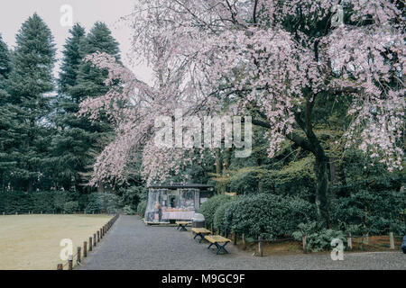 Tokyo, Tokio, China. 26 Mär, 2018. Tokio, Japan-The Kyu-Furukawa Garten, im 19. Jahrhundert für einen reichen Konglomerat Eigentümer erbaut, ist ein Garten mit japanischen und westlichen Architekturstilen in Tokio, Japan. Der westliche Teil der Garten wurde von dem britischen Architekten Josiah Conder konzipiert. Credit: SIPA Asien/ZUMA Draht/Alamy leben Nachrichten Stockfoto