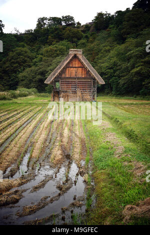 Traditionelle hölzerne Bauernhäuser mit Strohdächern in den historischen Dörfern Shirakawa in Gifu, Japan Stockfoto