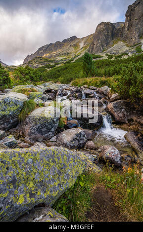 Berglandschaft mit Vegetation und Creek im Vordergrund auf bewölkten Tag. Mlynicka Valley, Hohe Tatra, Slowakei. Stockfoto