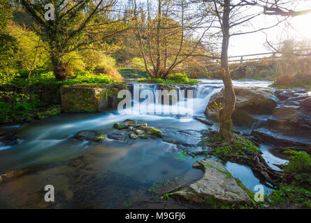 Wasserfälle von Monte Gelato in den Regionalen Park von Valle del Treja (Mazzano Romano, der Provinz von Rom, Italien) Stockfoto