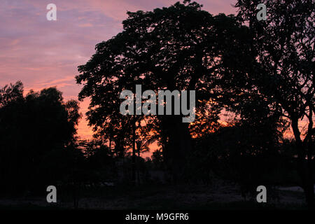 Sonnenuntergang Ambiente, mit Palmen Schatten Stockfoto