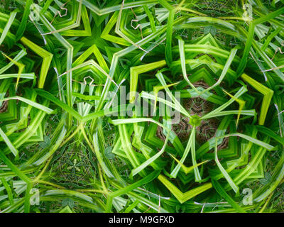 Abstrakte kaleidoskopische Bilder von Gräser, Schilf, Roots & Stroh gefunden in der englischen Landschaft Stockfoto