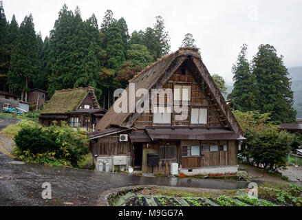 Traditionelle hölzerne Bauernhäuser mit Strohdächern in den historischen Dörfern Shirakawa in Gifu, Japan Stockfoto