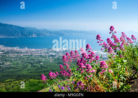 Blick auf den Vesuv Sorrent Sorrento Sorrento Stockfoto