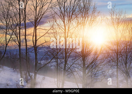 Foggy Wintermorgen in schöner Umgebung Stockfoto