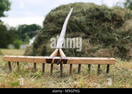 Die Reinigung mit einem Rechen auf einem Bauernhof Stockfoto
