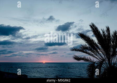 Tropical Sunset in Tel Aviv. Sun geht auf Winter Abend in Tel Aviv. Stockfoto