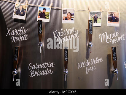 Wein Zapfen an der Boutique Wine Shop La Festival im Gracia Stadtviertel von Barcelona, Spanien, Fotos und Geschichten der Winzer. Stockfoto