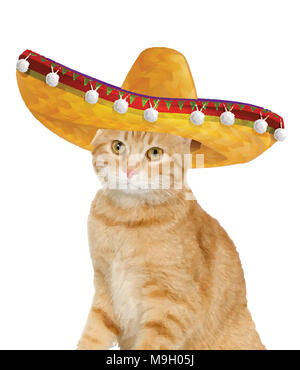 Fiesta Cat Stockfoto