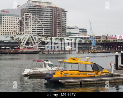 Yellow Water Taxi in Darling Harbour. Stockfoto
