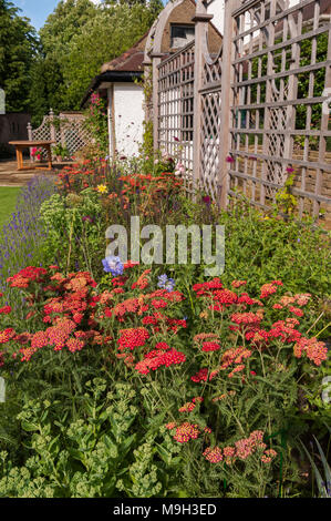 Sommer Blick auf die sonnenbeschienenen Tunnel Laube & bunte Staudenbeet - Schöne, gestaltet, gepflegten, traditionellen Garten, West Yorkshire, England, UK. Stockfoto