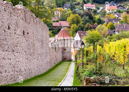 Stadtmauer, Ribeauville, elsässische Weinstraße, Frankreich Stockfoto