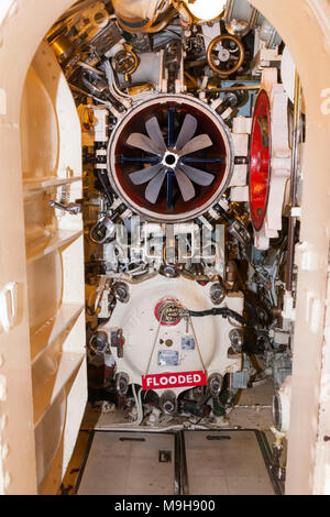 Vorwärts torpedo Tube/Rohre; port side, der HMS Alliance, einer Klasse, amphion Klasse oder ACHERON Klasse U-Boot. Royal Navy Submarine Museum Gosport UK. Stockfoto