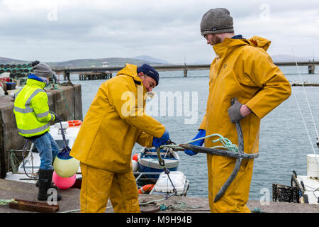 Irische Hummerfischer Vorbereitung auf eine andere Reise, Portmagee County Kerry, Irland Stockfoto