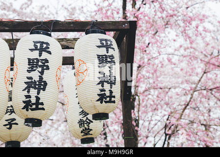 Hirano Shrine Cherry Blossom Festival Laternen in Kyoto, Japan Stockfoto