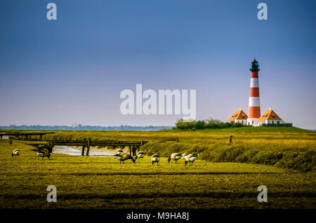 Deutschland, Schleswig-Holstein, Nordfriesland, Eiderstedt, St. Peter-Ording, Strand Stockfoto