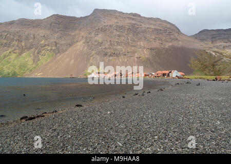 Stromness Harbour, South Georgia, Standort der ehemaligen Walfangstation und Ort der Rettung von Sir Ernest Shackleton auf seine Ausdauer expedition Stockfoto