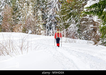 43,160.09802 Frau in Rot Langlaufen ein Wanderweg in einer verschneiten Nadelwald Stockfoto