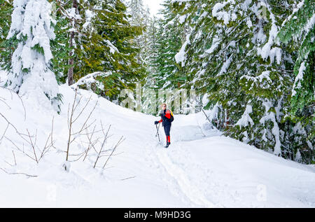 43,160.09801 Frau in Rot und Schwarz Langlaufen in tiefem Schnee auf einem Wanderweg in einer verschneiten Nadelwald Stockfoto