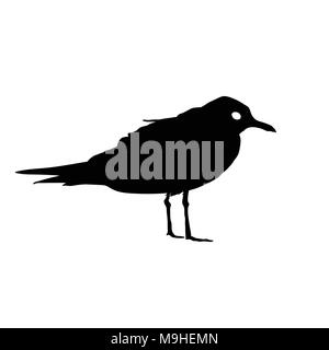 Möwe Vogel schwarze Silhouette auf weißem Hintergrund. Vector Illustration Stock Vektor