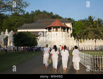 Ansicht der Rückseite des Touristen, die Tempel des Zahns, Kandy, Sri Lanka, Asien. Stockfoto