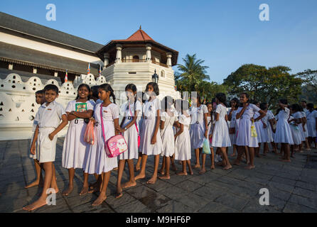 Schülerinnen und Schüler in einer Warteschlange außerhalb der Tempel des Zahns, Kandy, Sri Lanka, Asien. Stockfoto