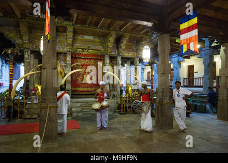 Männer spielen Musikinstrumente am Tempel des Zahns, Kandy, Sri Lanka, Asien. Stockfoto