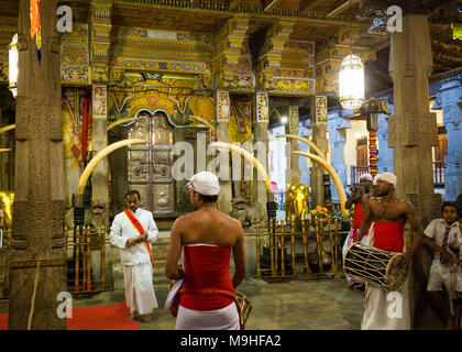 Männer spielen Musikinstrumente am Tempel des Zahns, Kandy, Sri Lanka, Asien. Stockfoto