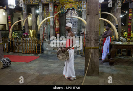 Männer spielen Musikinstrumente am Tempel des Zahns, Kandy, Sri Lanka, Asien. Stockfoto