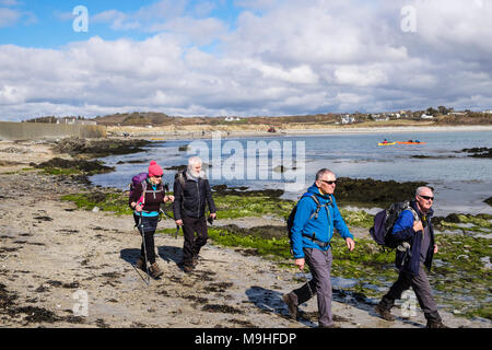 Ramblers Gruppe Wandern rund um Borthwen Bay auf der Isle of Anglesey Coastal Path. Rhoscolyn, Holy Island, Isle of Anglesey, Wales, Großbritannien, Großbritannien Stockfoto