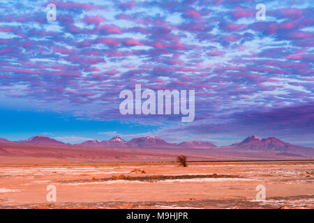 Berge und Vulkane im Altiplano in der Atacama Wüste in Chile bei Sonnenuntergang Stockfoto