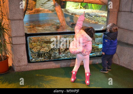 "Fünf Schwestern Zoo ''Midlothian ''Scotland'' Zoo ''Tiere'' Wildlife' Stockfoto