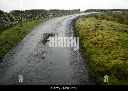 Ruhige Cornish Country Lane. Cornish Country Road, die in die Ferne führt, Stockfoto