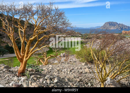 TPC Danzante Bay Stockfoto