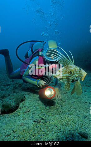 Scuba Diver Uhren eine Atlantik John Dory, Doree (Zeus Faber), Cagliari, Sardinien, Italien, Europa, Mittelmeer Stockfoto